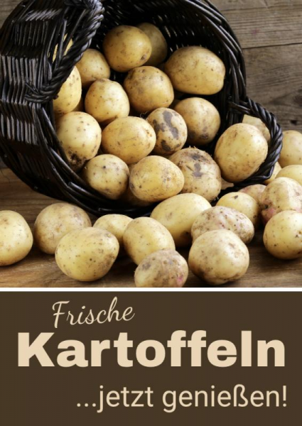 Kartoffelbanner | Werbebanner | Kostenlose Druckvorlage | Online selbst gestalten |